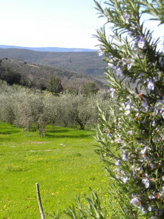 Agriristoro Podere S. Andrea Massa Marittima Exteriör bild