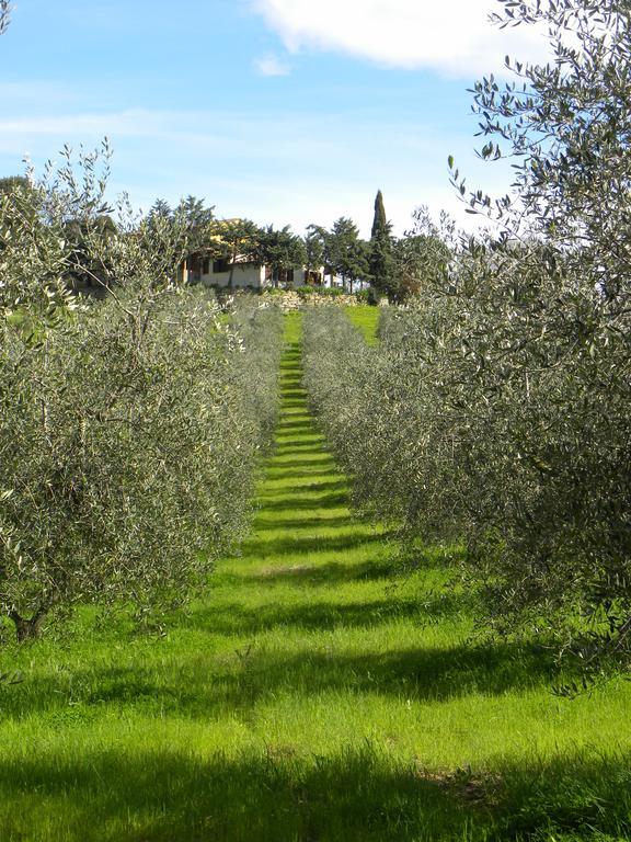 Agriristoro Podere S. Andrea Massa Marittima Exteriör bild