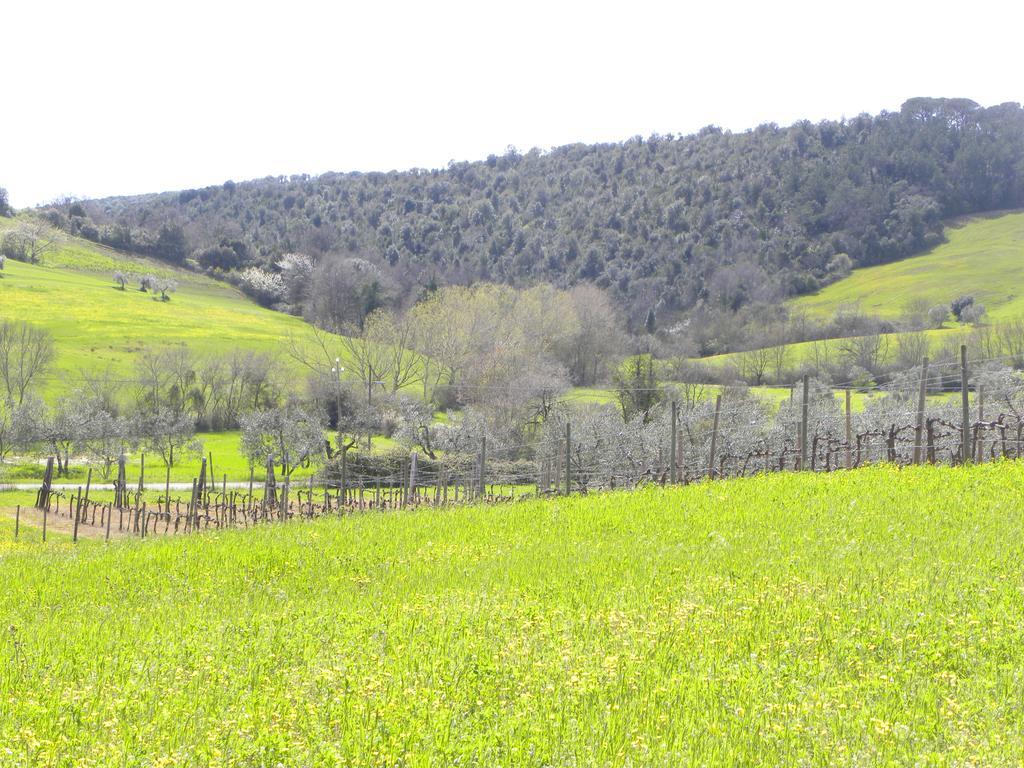 Agriristoro Podere S. Andrea Massa Marittima Exteriör bild
