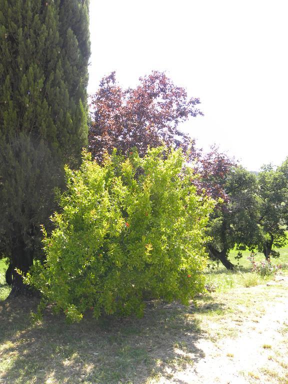 Agriristoro Podere S. Andrea Massa Marittima Exteriör bild