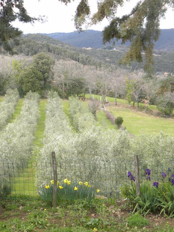 Agriristoro Podere S. Andrea Massa Marittima Exteriör bild