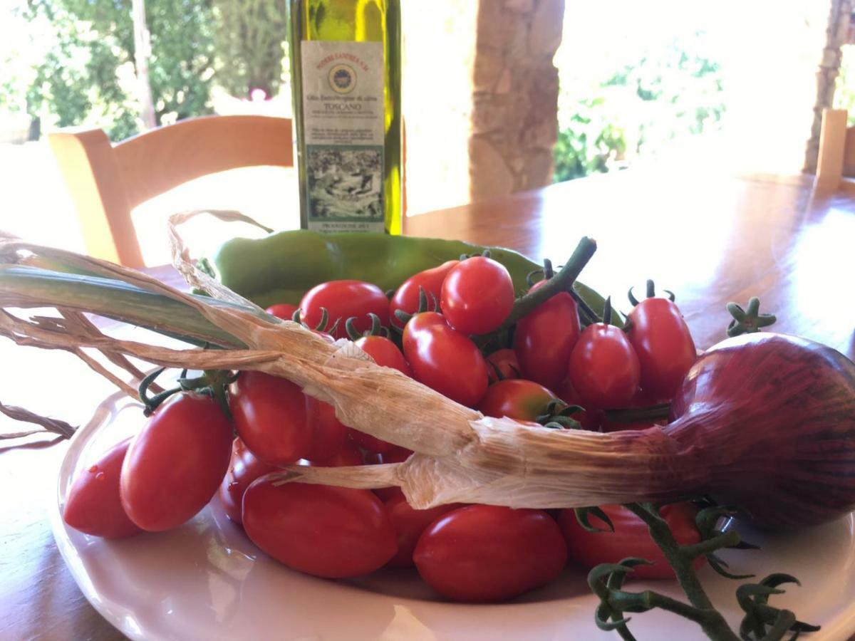 Agriristoro Podere S. Andrea Massa Marittima Exteriör bild