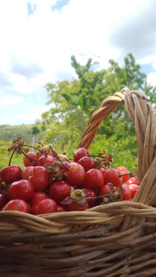 Agriristoro Podere S. Andrea Massa Marittima Exteriör bild